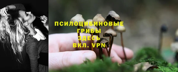 молекула духа Богородицк