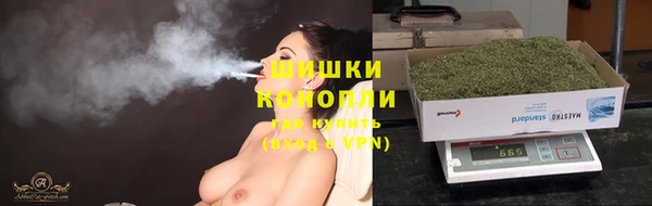 spice Бронницы