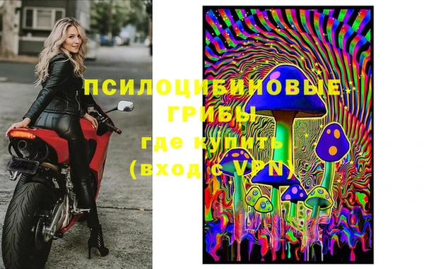 молекула духа Богородицк