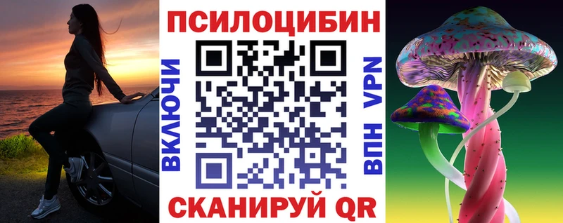 Псилоцибиновые грибы Cubensis  магазин продажи   Междуреченск 