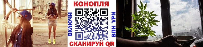 где купить наркоту  Междуреченск  MEGA ССЫЛКА  Бошки Шишки OG Kush 